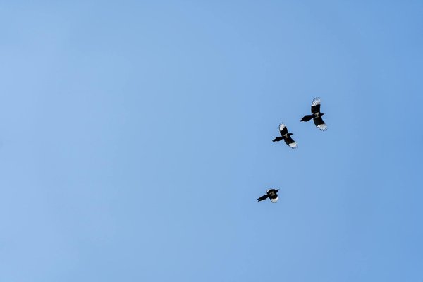 Mieux contrôler son poids grâce au Yoga